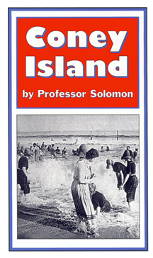 Coney Island book cover