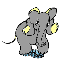 elephant shrugging shoulders